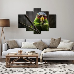 Tablou cu papagal (150x105 cm)