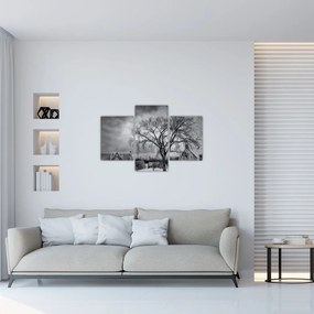 Tablou cu sat alb negru (90x60 cm)