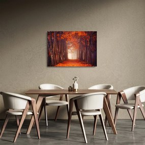 Tablou pe sticlă - Pădurea de toamnă (70x50 cm)