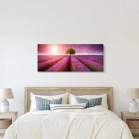 Tablou câmp cu lavandă (120x50 cm)