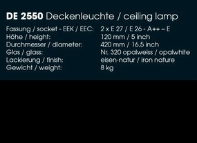 Aplica perete sau tavan design industrial din fier forjat DE 2550, 42cm