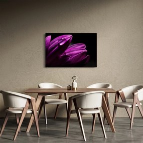 Tablou - Picătura de apă (90x60 cm)