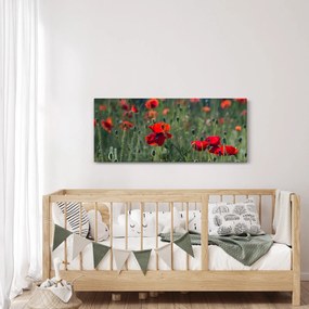 Tablou - Lunca cu maci (120x50 cm)