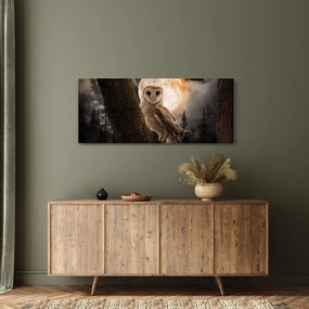 Tablou cu bufnița (120x50 cm)