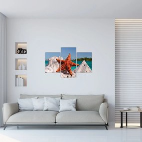 Tablou cu stea de mare (90x60 cm)