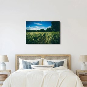 Tablou cu linca și pădure (90x60 cm)