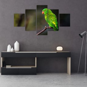 Tablou cu papagal pe greangă (125x70 cm), în 40 de alte dimensiuni noi