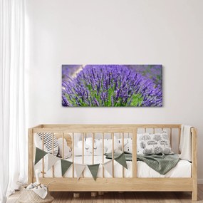 Tablou - lavanda (120x50 cm)