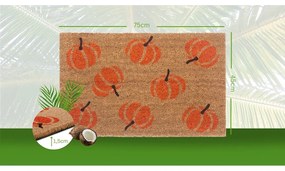 Covoraș de intrare 45x75 cm Mix Mats – Hanse Home