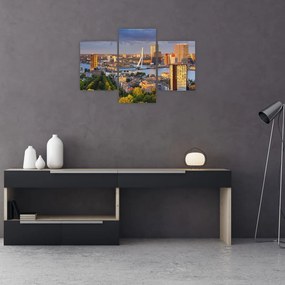 Tablou - Panorama Rotterdamului, Țările de Jos (90x60 cm)