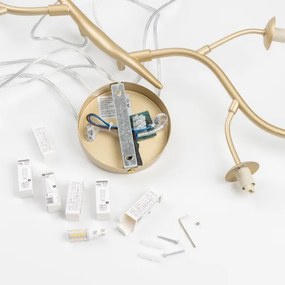 Lustră LED pe cablu Brilagi MISTEL 6xG9/3W/230V auriu