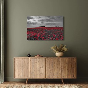 Tablou cu maci (90x60 cm)