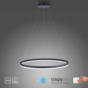Lustră LED dimabilă pe cablu TITUS LED/50W/230V Paul Neuhaus 2383-13