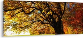 Tablou cu toamna (120x50 cm)