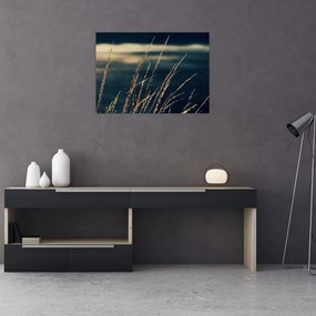 Tablou cu ierburi (70x50 cm)