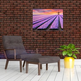 Tablou - ferma cu flori (70x50 cm)