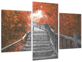 Tablou - Scări în natură, portocaliu (90x60 cm)