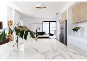 LED Plafonieră SMART GALAXY 36W 230V Wi-Fi Tuya alb/auriu + DO