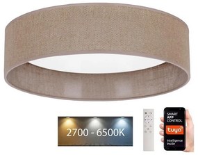 Plafonieră LED dimabilă VELVET SMART LED/24W/230V Wi-Fi Tuya Brilagi + telecomandă