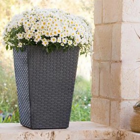 Ghiveci din ratan S suport pentru flori grafit