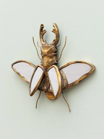 Oglinda decorativa, de perete, din rasina, Beetle