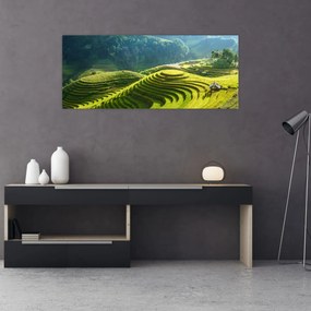 Tablou - Concert Terase de orez (120x50 cm)