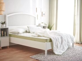 Pilota Aloe Vera JC5