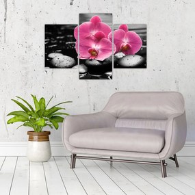 Tablou - Orhidee roz (90x60 cm)