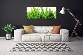 Tablou pe panza canvas Iarbă verde florale