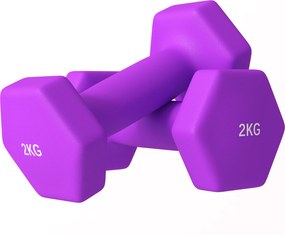 SPORTNOW Set de 2 Greutăți, Set de Gantere Pereche cu Prindere Antiderapantă pentru Antrenament, 16x6x6 cm, Violet | Aosom Romania