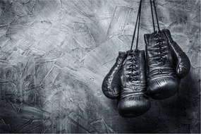 Tablou - Mănuși de box (90x60 cm)