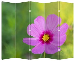 Paravan - Floare de câmp (210x170 cm)