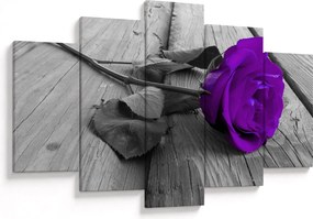 Tablou - Trandafir violet cu tulpina verde (150x105 cm)