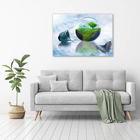 Pictură pe pânză Resurse ecologice