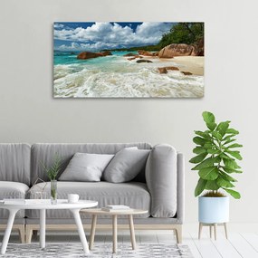 Tablou pe pânză Plaja seychelles