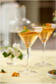 Set de pahare 4 buc. de cocktail 250 ml Palermo – Lyngby Glas