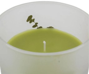 Lumânare parfumată în pahar aromă eucalipt
