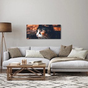 Tablou - Privirea pisicii (120x50 cm)