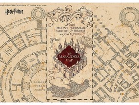 Suport farfurie Harry Potter Marauders Map pentru copii, 42 x 30 cm