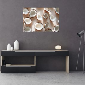 Tablou - Nuci de cocos (90x60 cm)