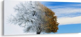 Tablou - Schimbarea anotimpurilor (120x50 cm)