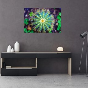 Tablou cu cactus (90x60 cm)