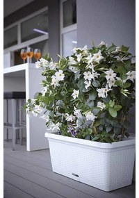 Jardiniera, Tortora, Vetro-Plus, 30x13x11 cm, plastic, maro