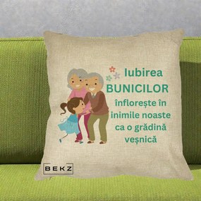 Cadou pentru Bunici - Perna Personalizata Bunicii Iubirea Infloreste cu Nepoata Teal, 40x40 cm, Crem, Husa Detasabila, Perna Inclusa, BEKZ®