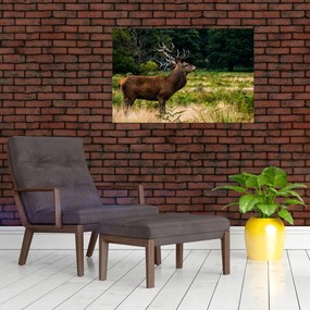 Tablou cu cerb (90x60 cm)