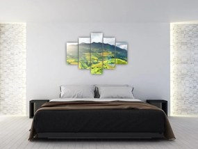 Tablou plantație (150x105 cm)