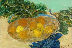 Tablou - Vincent van Gogh, Still Life of  Oranges and Lemons with  Blue Gloves, reproducere (90x60 cm)