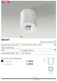 Spot aplicat tavan/plafon stil modern Brant 1 negru