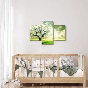 Tablou cu copaci pe luncă (90x60 cm)