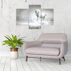 Tablou - Cal alb (90x60 cm)